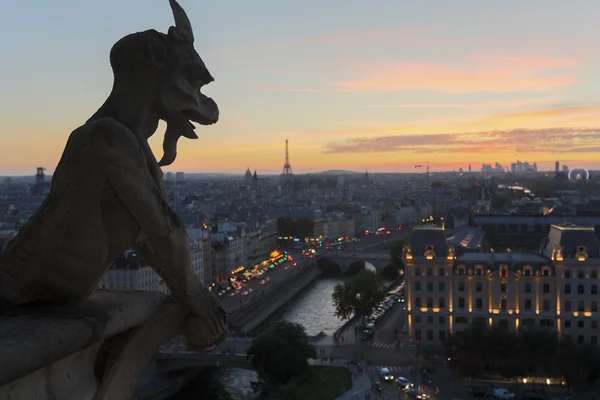 Chimeras of Notre Dame on sunset — Stock Photo, Image