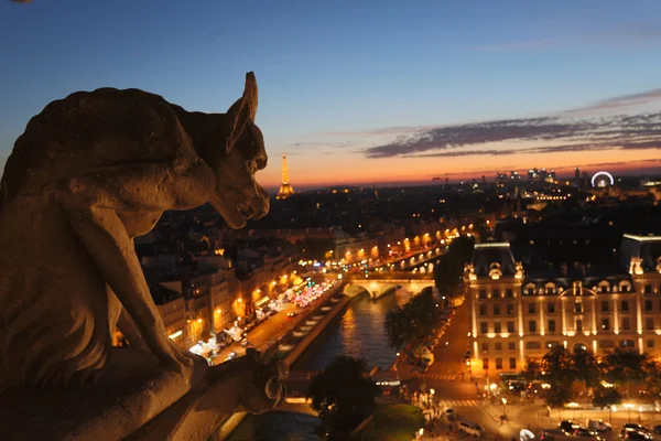 Chimeras Notre Dame günbatımı üzerinde