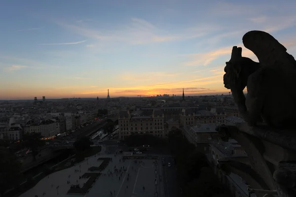 Chimeras of Notre Dame — Stock Photo, Image