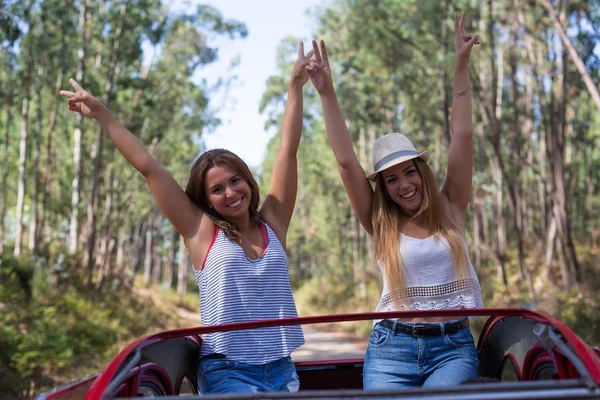 Groep vrienden op een roadtrip — Stockfoto