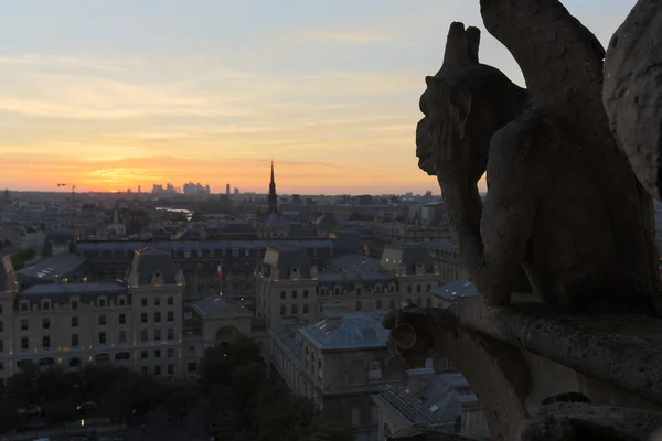 Notre Dame chimeras — Stok fotoğraf