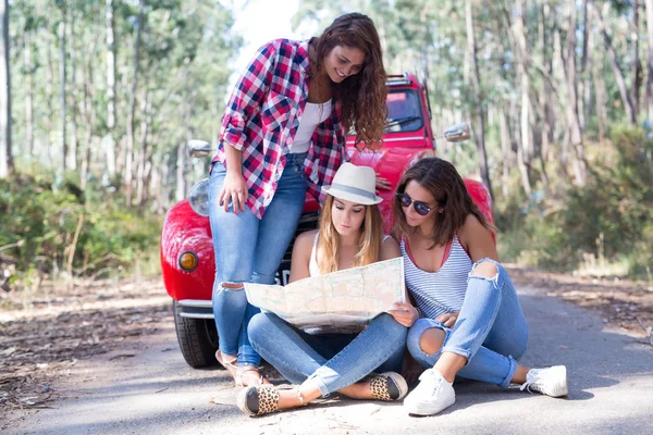 Group of friends on a roadtrip — Stock Photo, Image