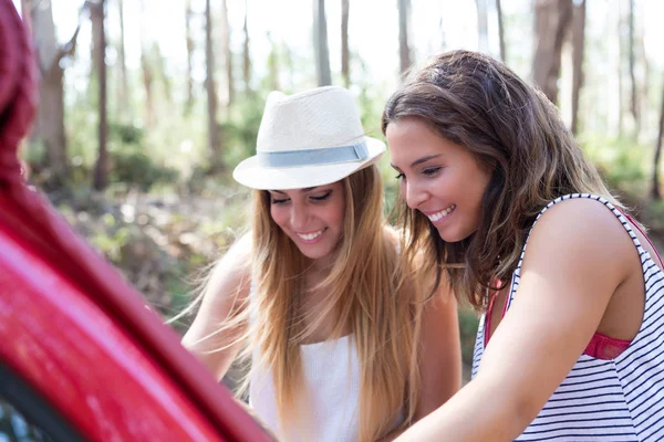 Amigos en un viaje por el campo — Foto de Stock