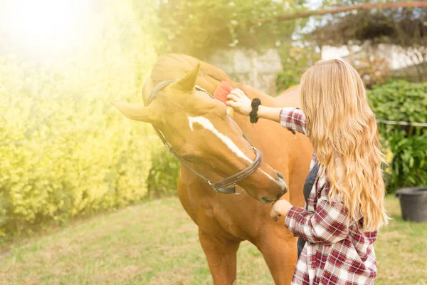Joven hermosa mujer con un caballo —  Fotos de Stock