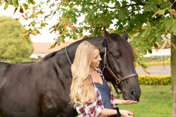 Joven hermosa mujer con un caballo — Foto de Stock