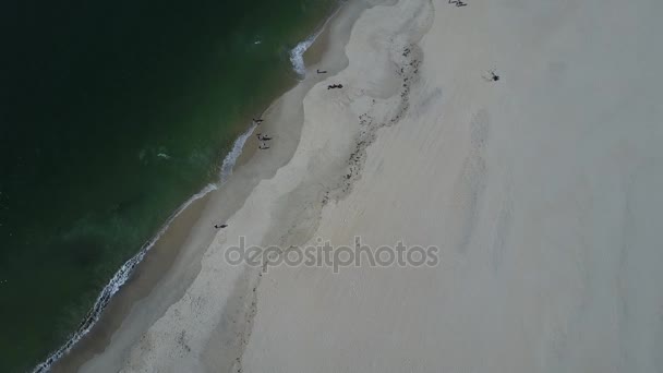 Spiaggia portoghese di Barra — Video Stock