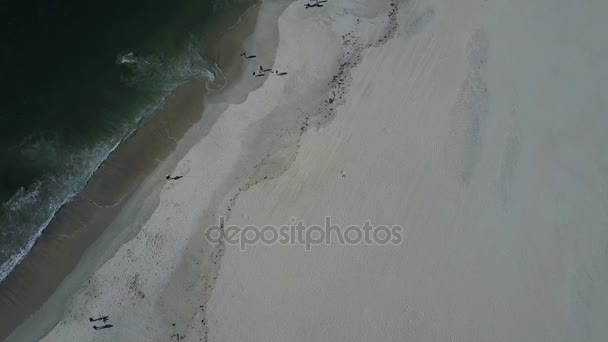 Hermosa playa portuguesa de Barra — Vídeos de Stock