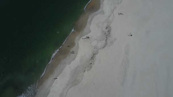 Beautiful Portuguese beach of Barra — Stock Video