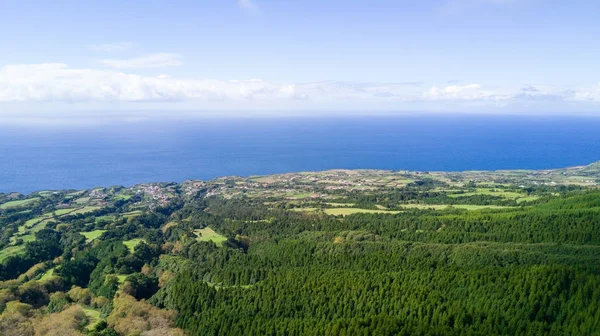 Foresta - Azzorre, Portogallo — Foto Stock