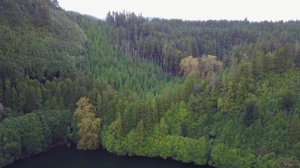 Aerial View Green Forest Daytime Azores Portugal — Stock Video