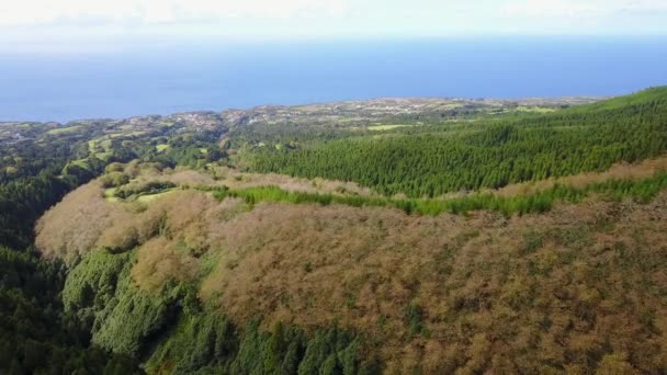 Aerial View Green Forest Daytime Azores Portugal — Stock Video