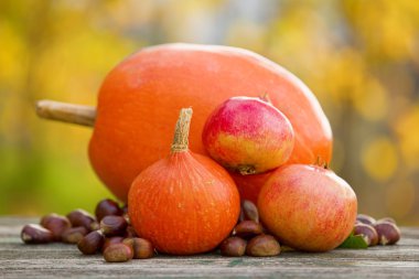 Sonbahar doğa kavramı. Sonbahar meyve ahşap bir masa üzerinde açık havada