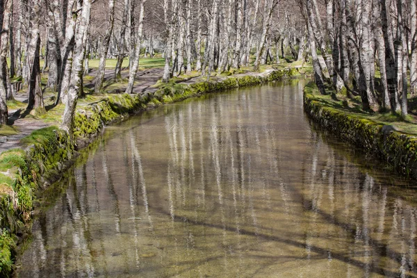 Covao d'ametade w parku przyrody Serra da Estrela. Portugalia — Zdjęcie stockowe