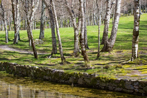 Covao d'ametade w parku przyrody Serra da Estrela. Portugalia — Zdjęcie stockowe