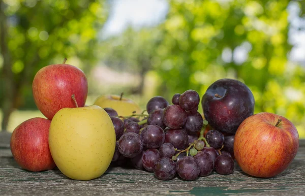 Vruchten in houten tafel, buiten — Stockfoto