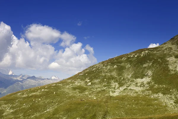 Krajina ve švýcarských Alpách, kanton Bern; Švýcarsko — Stock fotografie