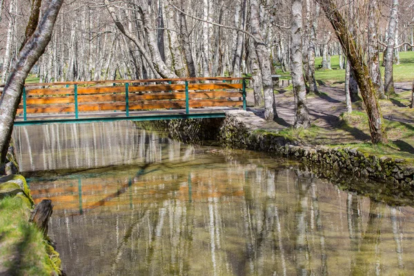 Covao d'ametade v přírodním parku Serra da Estrela. Portugalsko — Stock fotografie