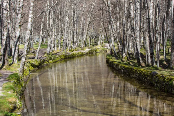 Covao d'ametade w parku przyrody Serra da Estrela. Portugalia — Zdjęcie stockowe