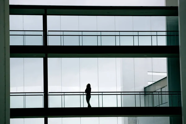 Vista silhueta de uma jovem empresária num moderno edifício de escritórios interior — Fotografia de Stock