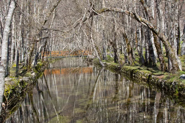 Serra da Estrela Doğal Parkı içinde Covao d'ametade. Portekiz — Stok fotoğraf