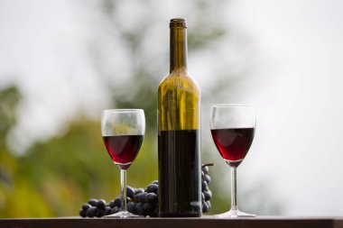 Tahta masada şarap şişesi ve üzüm.