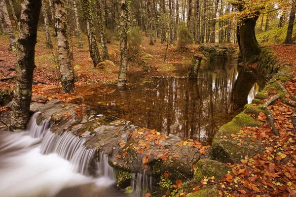 Река в сезон Автумн в национальном парке Жереш, Португалия — стоковое фото