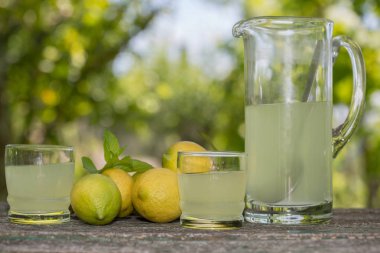 ahşap bir masa, sonbahar seti, açık üzerinde limon suyu