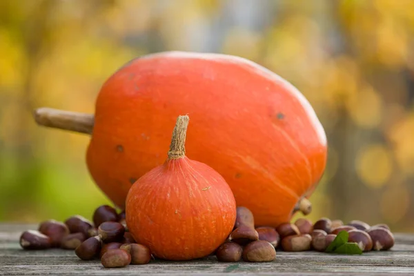Осенняя концепция природы. Осенние плоды на деревянном столе — стоковое фото