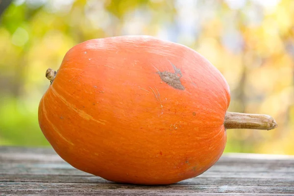 Autumn pumpkin on wooden table — Stock Photo, Image