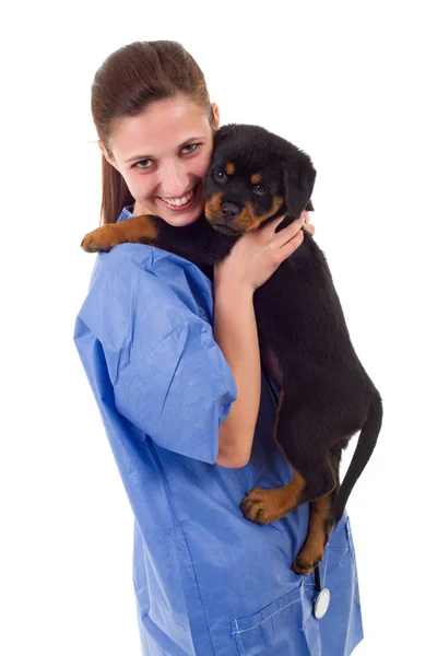 Brunett veterinärmedicinska med en rottweiler valp hund, isolerade — Stockfoto