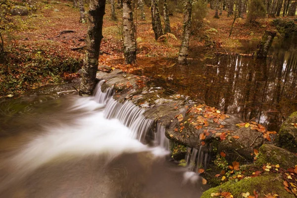 Река в сезон Автумн в национальном парке Жереш, Португалия — стоковое фото