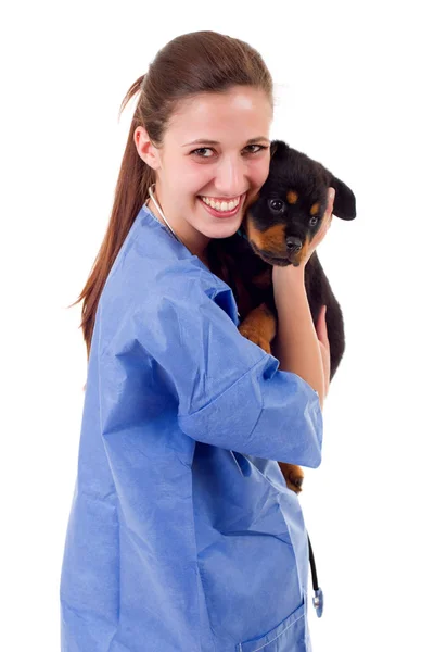 Morena veterinária com um cachorro rottweiler isolado em branco — Fotografia de Stock
