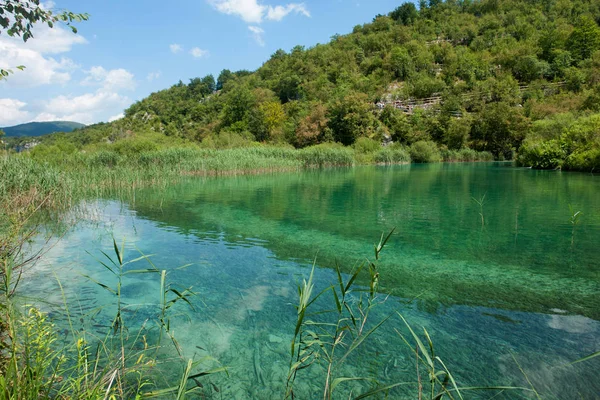 Вид на Плитвицкие озера, Хорватия — стоковое фото