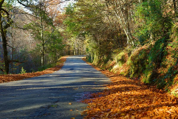 Autumn landscape with road and beautiful colored trees, in Geres — Stock Photo, Image