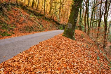 Sonbahar yatay, yol ve güzel renkli ağaçlar, Geres otelleri