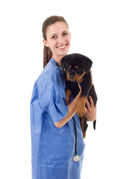 Morena veterinaria con un perro perrito rottweiler aislado — Foto de Stock