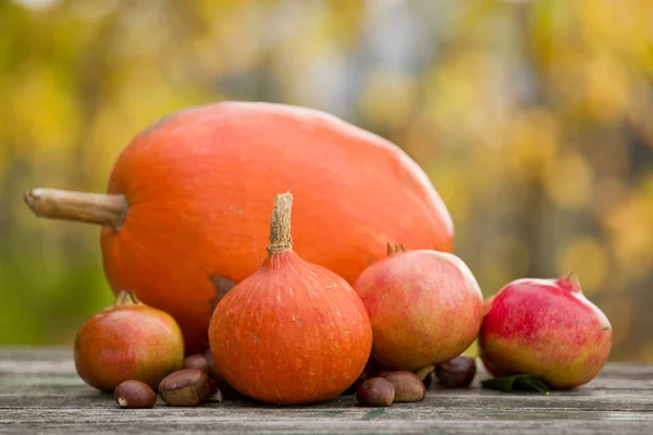Осенняя концепция природы. Осенние плоды на деревянном столе — стоковое фото