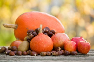 Sonbahar doğa kavramı. Sonbahar meyve ahşap bir masa üzerinde açık havada