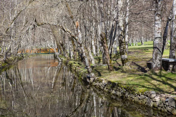 Covao d'ametade in het natuurpark Serra da Estrela. Portugal — Stockfoto