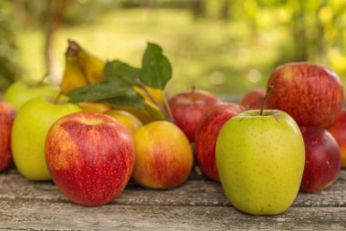 meyve bahçesinde açık ahşap tablo