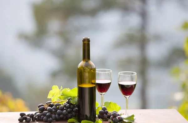 Wijnfles en druiven op houten tafel buiten — Stockfoto