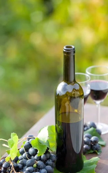 Borosüveg és szőlő a fa asztalra szabadban — Stock Fotó