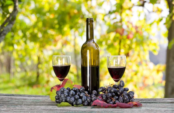 Botella de vino y uvas en mesa de madera al aire libre —  Fotos de Stock