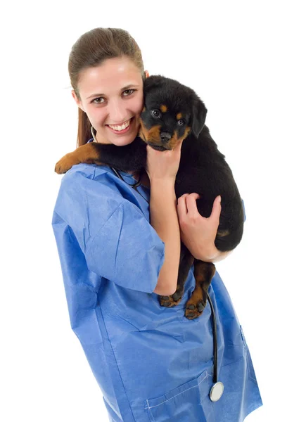 Μελαχρινή κτηνιατρικής με ένα Ροτβάιλερ κουτάβι σκυλί απομονωμένες — Φωτογραφία Αρχείου