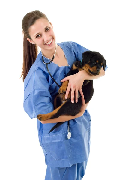 Morena veterinaria con un perro perrito rottweiler aislado — Foto de Stock