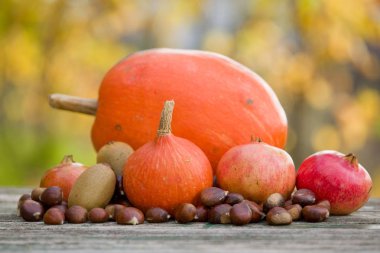 Sonbahar doğa kavramı. Sonbahar meyve ahşap bir masa üzerinde açık havada