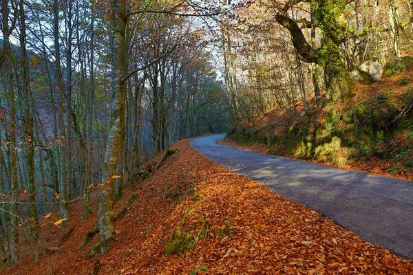Paysage d'automne avec route et beaux arbres colorés, à Geres — Photo