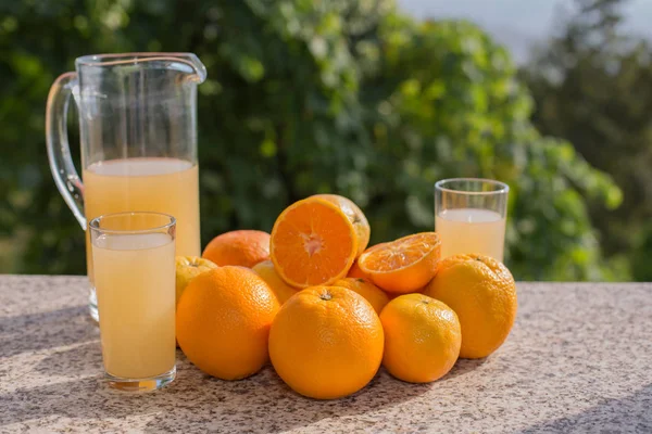 Delicioso suco de laranja e laranjas no jardim — Fotografia de Stock