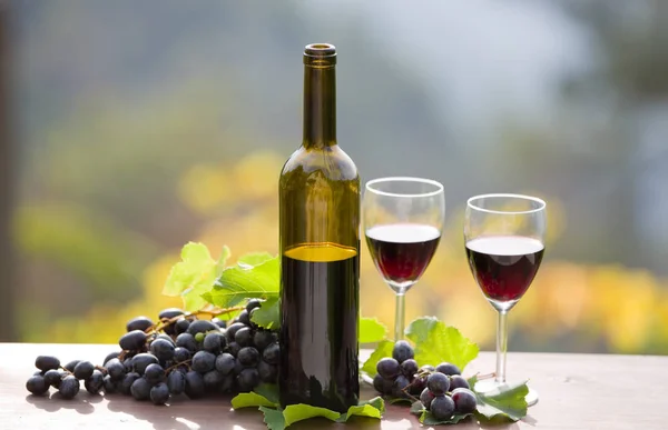 Botella de vino y uvas en mesa de madera al aire libre —  Fotos de Stock