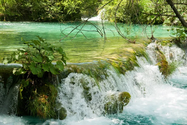 View in the Plitvice Lakes National Park, Croatia — Stock Photo, Image